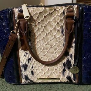 Brahmin Purse